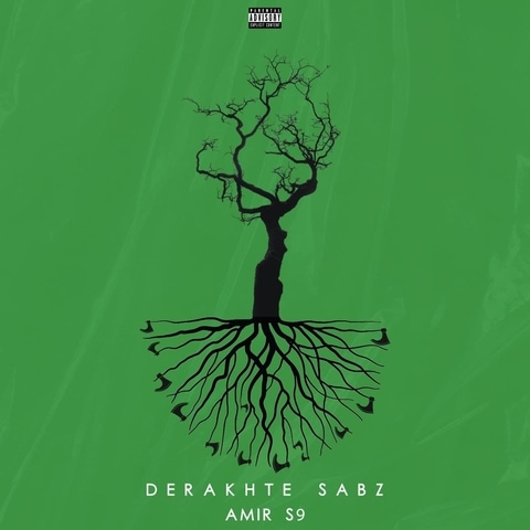 دانلود آهنگ امیر اسنو درخت سبز 1 Amir S9 Derakhte Sabz